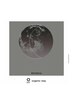 《平日限定クーポン》OWAYアロマヘッドスパ （30min) ￥5000