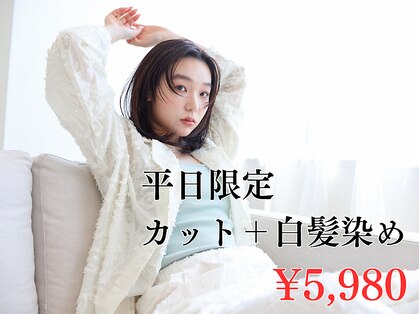 リリー バイ エーケー(Lily By Ak)の写真