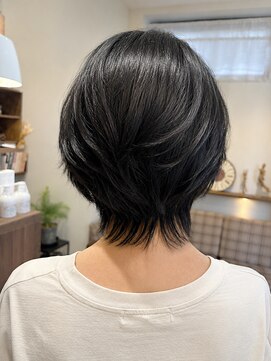 ヘアープルトワルピナス ショートウルフ