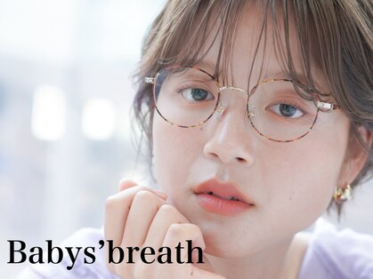 ベイビーズブレス(Baby's breath)の写真
