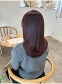 大人可愛い！ボルドールビー