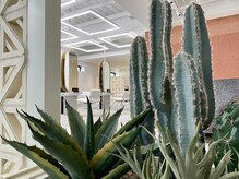 ノエリブ 名駅(noe liv)の雰囲気(*髪質改善/オージュア/パーマ/トリートメント/ヘッドスパ/韓国)