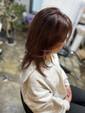 アポロ(Apollo) ウルフレイヤー