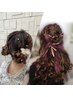 【平日限定】ヘアセット【￥3,500～】当日予約はお電話まで