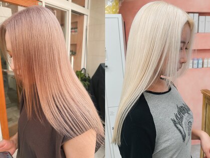 シラフ(SHIRAF)の写真