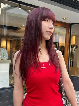 シェル(SHEL+L) デイジーレッド×ハイレイヤー【小林】