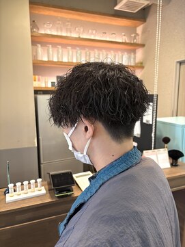 ハロ 蕨(HALO) マッシュツイスパ【阿部佑香】