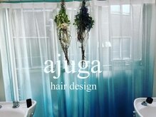 アジュガヘア(ajuga hair)