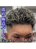極道パーマ/白金メッシュ