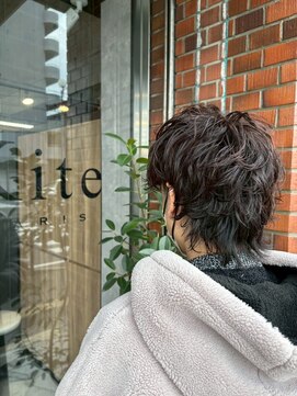 パリーカイト(PARIS Kite) セット楽！コールドパーマ