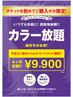 【初めて購入の方限定】カラーチケット4ヶ月＋カットorトリートメント ¥9900