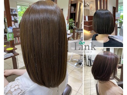 リンク(Link)の写真