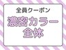 ☆潤いツヤUPカラー☆白髪染め 全体染め 濃密カラー 4,980円（寝屋川）