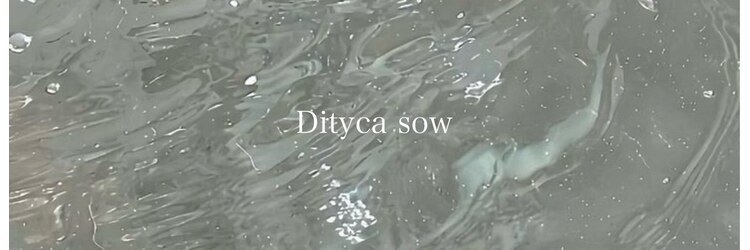 ディティカ サウ(Dityca sow)のサロンヘッダー