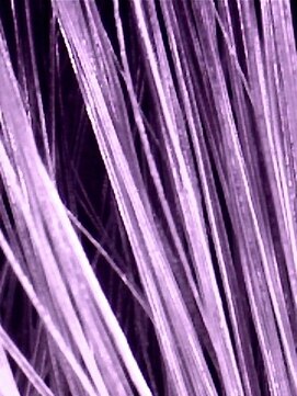 クロレヘアー(Colorer Hair) あなたの髪質は？診断出来ます。