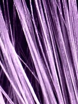 クロレヘアー(Colorer Hair) あなたの髪質は?診断出来ます。