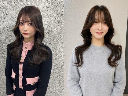 ソルバー(SOLVER)の写真