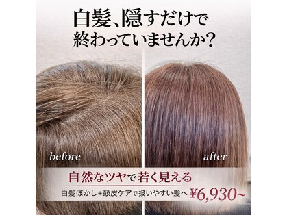 エル(Ele’)の写真