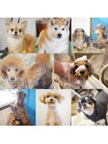 ガーフィー(garfy)&nbsp;ガーフィーゲスト