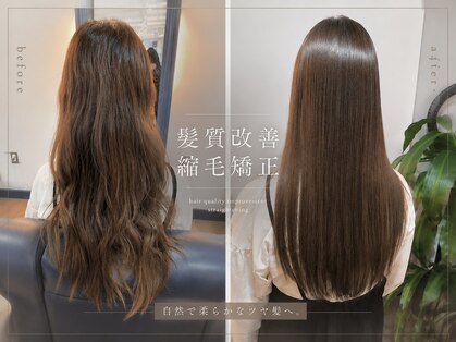 グラマシー アレックス(Gramercy alex)の写真