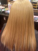 ガラ(GALA)&nbsp;デザインカラー