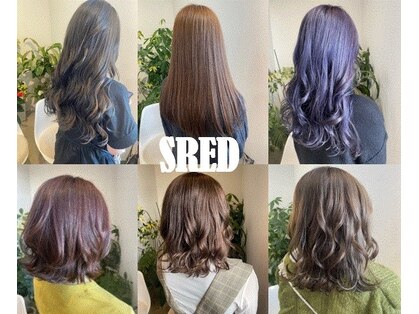 スレッド(SRED)の写真