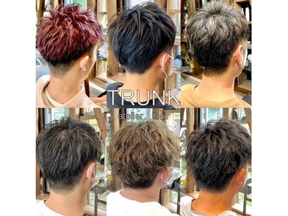 トランク(TRUNK)の写真