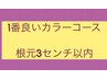 【 1番良いカラー】根元3cm以内 髪質改善カラー5分頭皮スパトリートメント