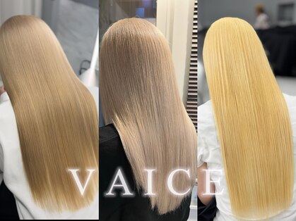 ヴァイス 吉祥寺(VAICE)の写真