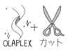 ☆ずっと触っていたい髪に【OLAPLEXシャンプー 】＋カット