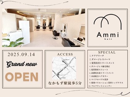 アミ(Ammi)の写真