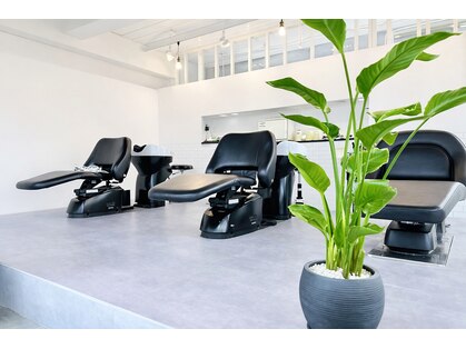 ヌフ(neuf)の写真