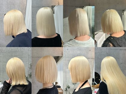 クロレ(Clore)の写真