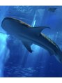 ラブレススフィア(LAVLESS sphere) 大体の水族館は網羅してます。魚は食べられませんがみるのが好き