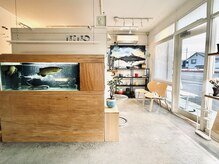 ニーノ(nino)の雰囲気（光と木のある、待合いのひと席）