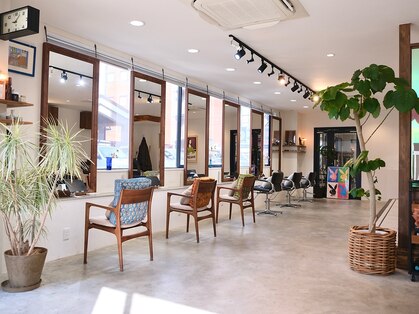 ウィム(wim)の写真