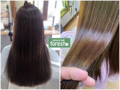 natural hair forest【ナチュラルヘアーフォレスト】