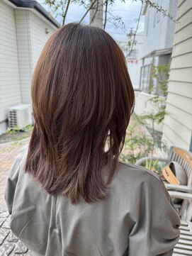 チョコレート(chocolate) ソフトウルフ