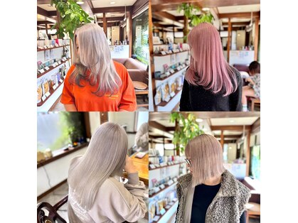 ヤソ(yaso)の写真