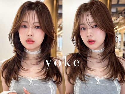 ヨーク(yoke)の写真