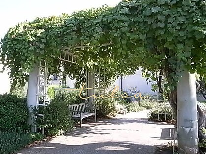 タルサ(tulsa)の写真