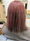 アンブレラカラー ピンク×ブルーブラック