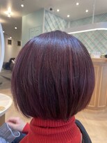 アンフィ 矢向(Anphi)&nbsp;11-55 レッド