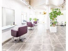 カシュカシュ(Cache,cache)の雰囲気(明るく開放的な店内。セット面の間を広くとっています。)