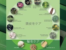 ≪厳選オーガニックカラー≫髪と頭皮に優しく、普段ぴりぴり傷みを感じる方にもオススメ♪【Oasis熊谷】