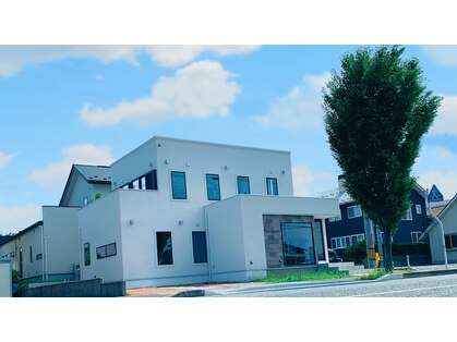 ガーデニア(Gardenia)の写真