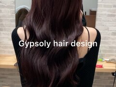 Gypsoly hair design