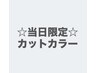 【当日限定】カット炭酸＋ジアミンレス水素カラー＋頭筋アロママッサージ