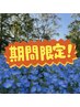 ☆★平日限定クーポン★☆トリートメント＋『フロントサイドカット』サービス