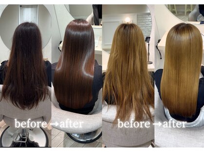 トロン(tronc)の写真